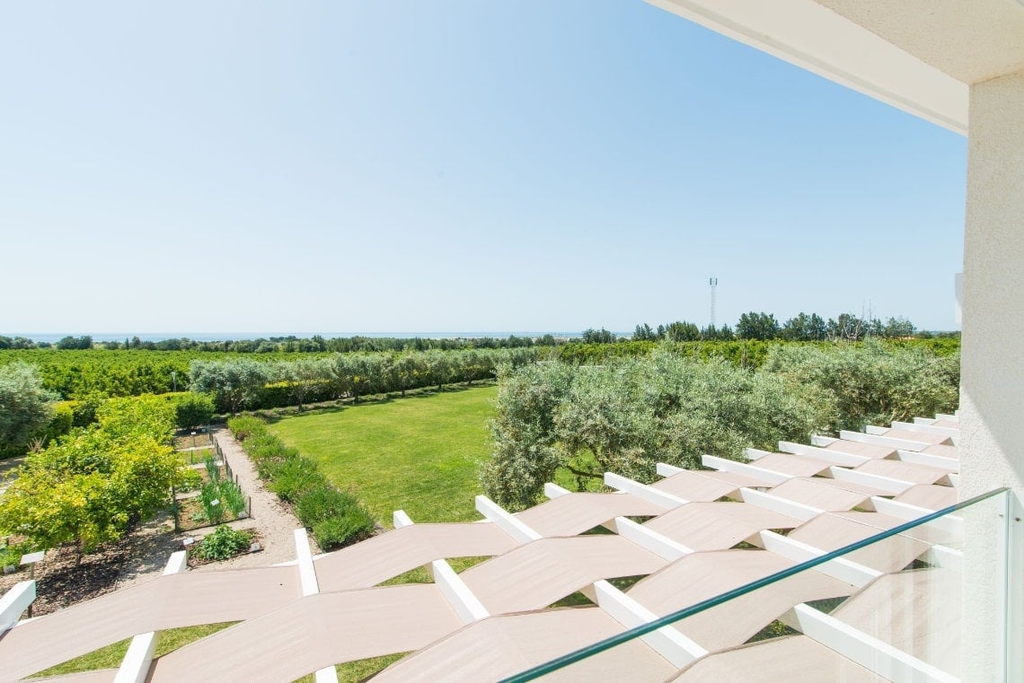 Vista aérea de uma longa mesa de jantar posta em um pomar verde, com pratos verdes e cadeiras azuis.