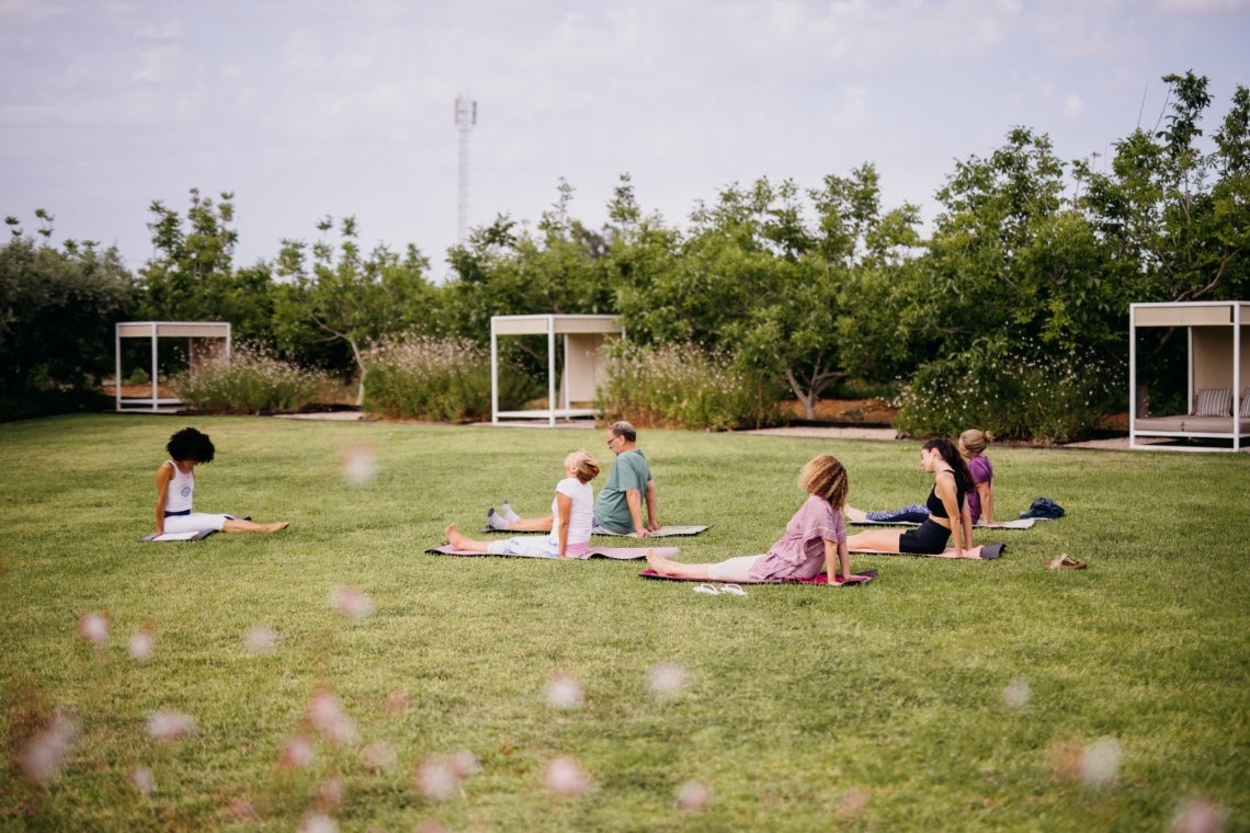 Um grupo de pessoas está praticando ioga ou alongamento em um gramado verde ao ar livre, com árvores e estruturas brancas ao fundo.