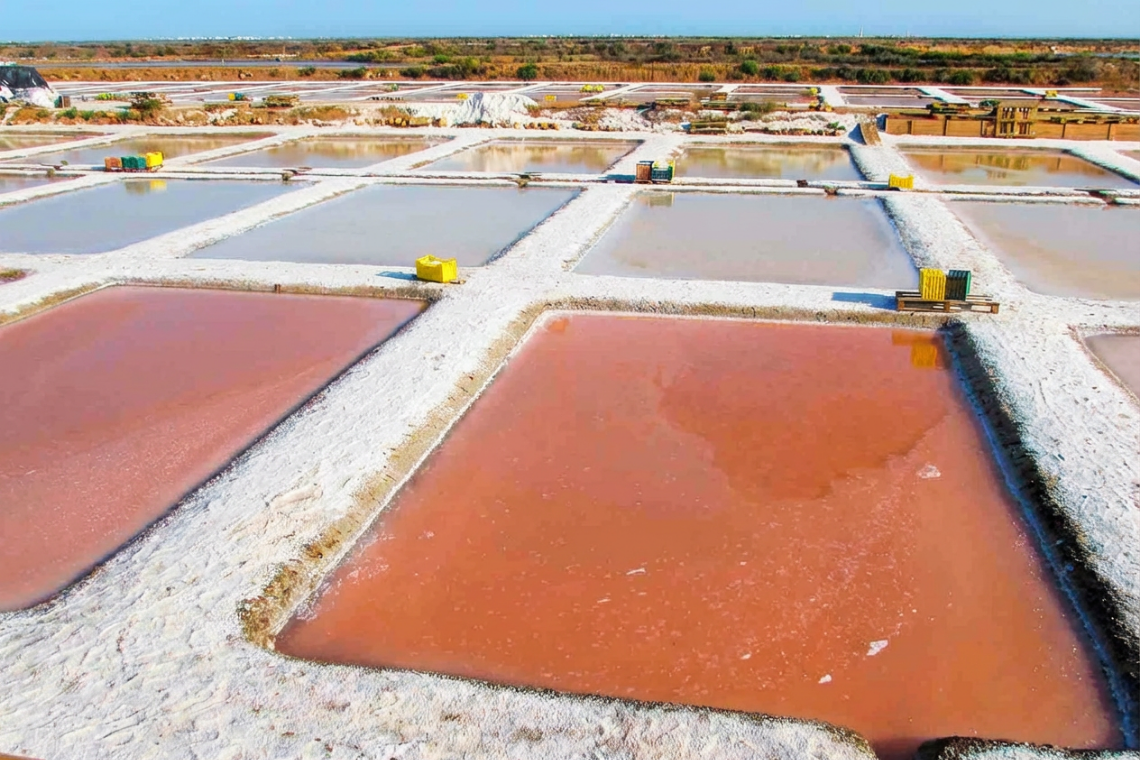Piscinas de sal rosa na Quinta dos Perfumes, cenário único.
