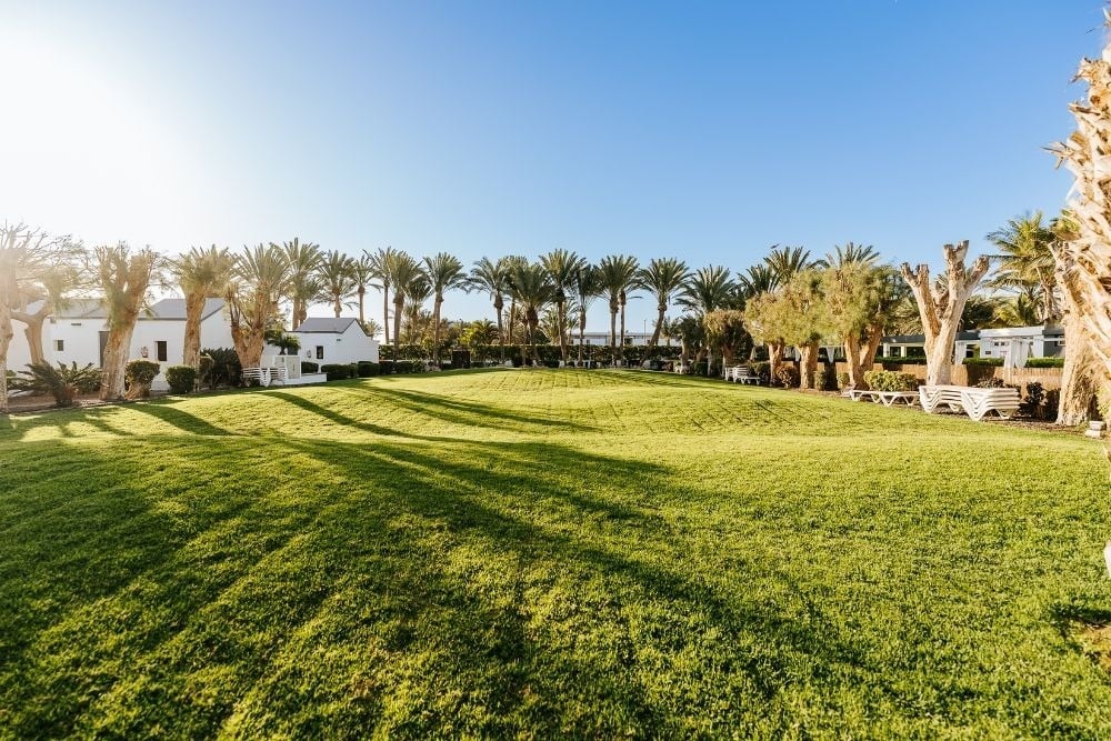 Expansive green lawn at R2 Romantic Fantasia Dreams & Suites Hotel, R2 Hotels
