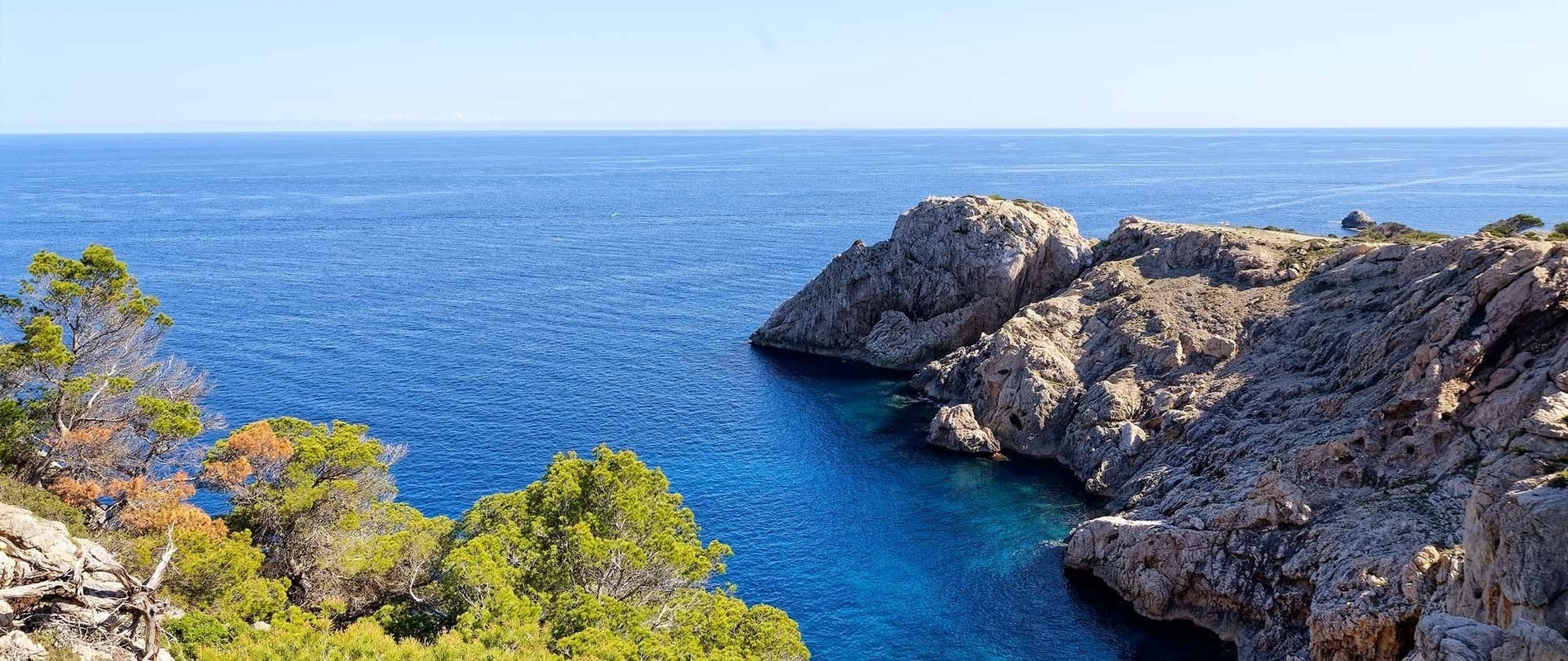 une piscine entourée de palmiers et d'un pont au coucher du soleil