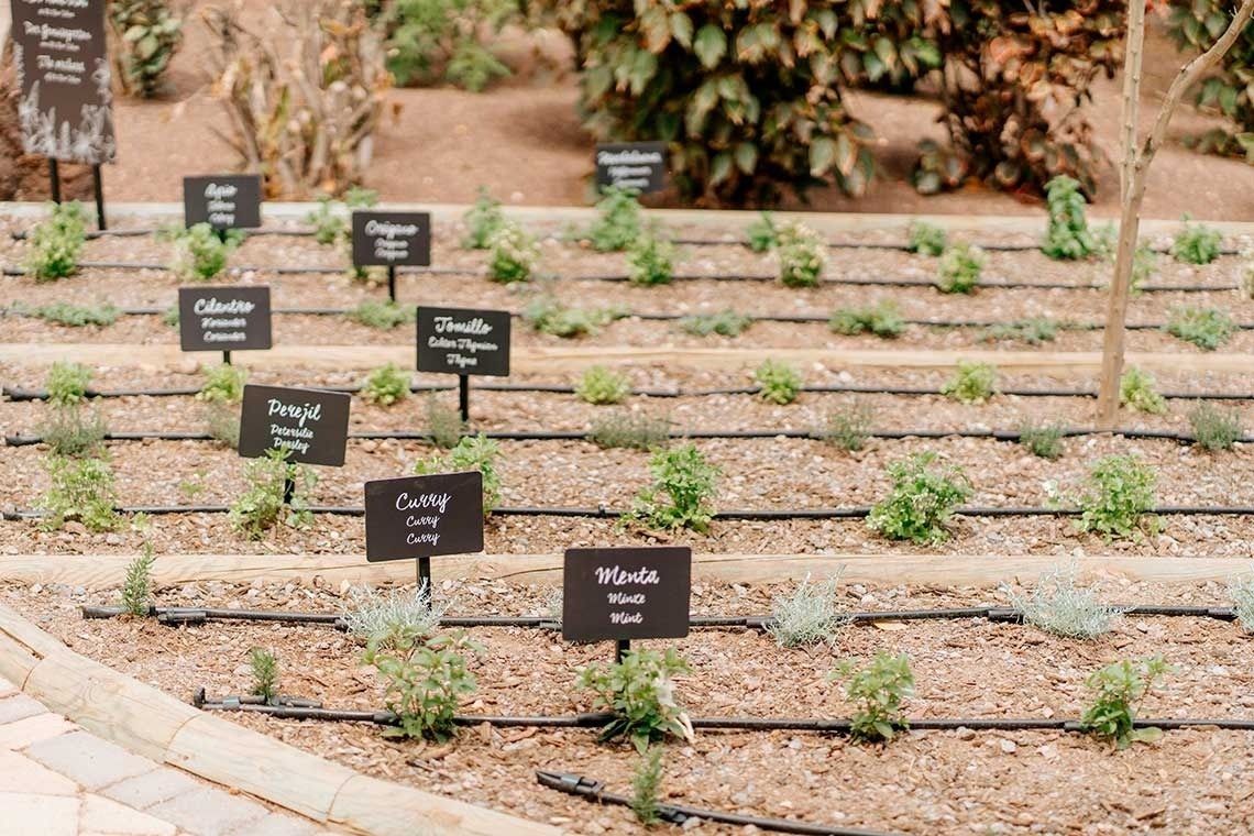une salle de conférence remplie de tables et de chaises