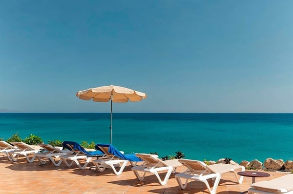 bufet z daniami spaghetti i makaronów