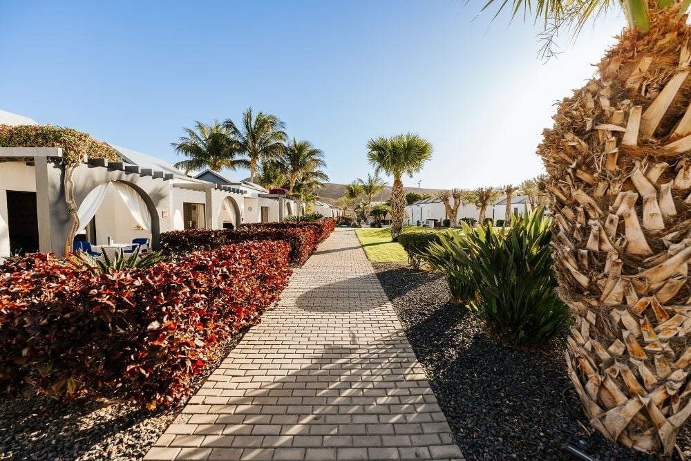 R2 Romantic Fantasia Dreams & Suites: Pathway through lush gardens and palm trees at the hotel.