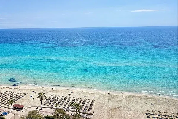 R2 Hoteles: Vista al mar con palmera en paseo soleado
