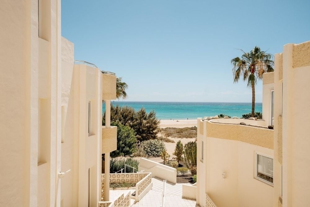 R2 Maryvent Beach Apartment: ocean view from hotel with palm trees