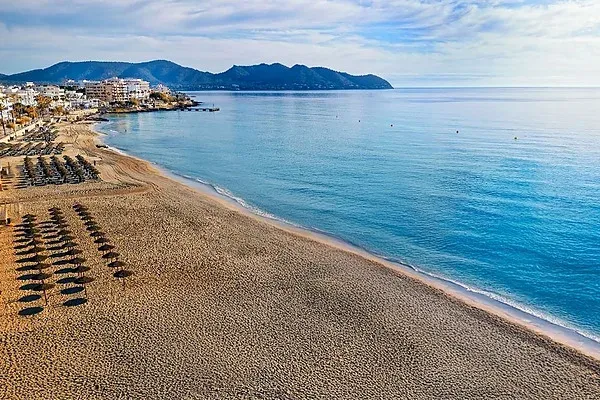 R2 Hoteles: Vista al mar con palmera en paseo soleado