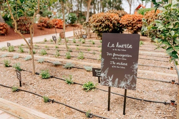 a woman taking a picture of a building with a camera
