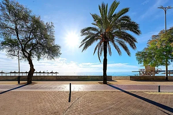 R2 Hoteles: Vista al mar con palmera en paseo soleado