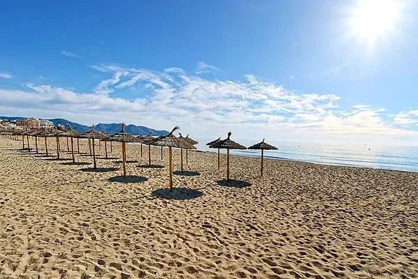 R2 Hoteles: Vista al mar con palmera en paseo soleado