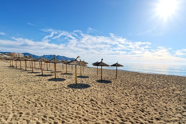 ein Tisch mit Tellern und Besteck und einer Tischdecke mit Fischen und Wellen