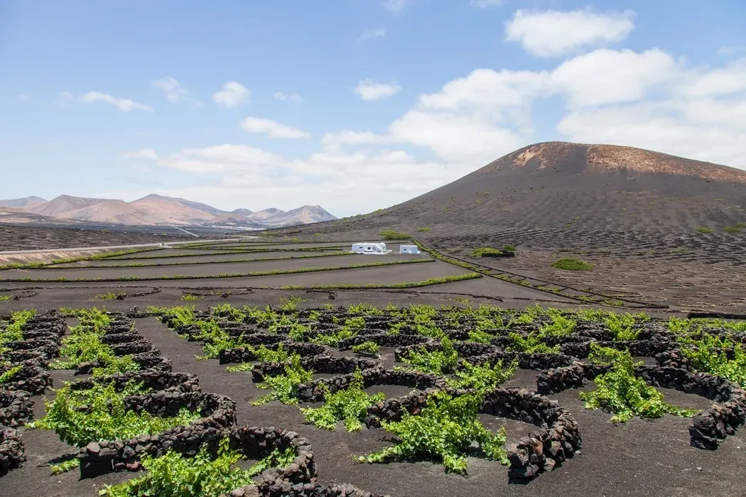 The wine route in La Geria, Lanzarote