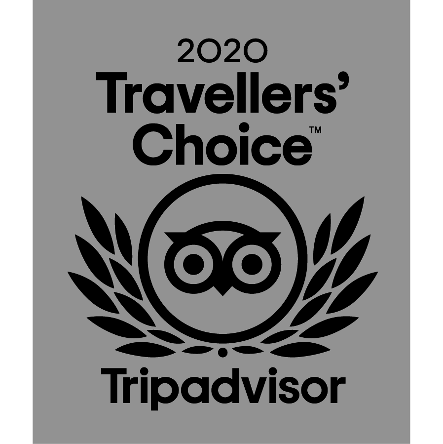 un logo pour les voyageurs ' choice 2020 de tripadvisor