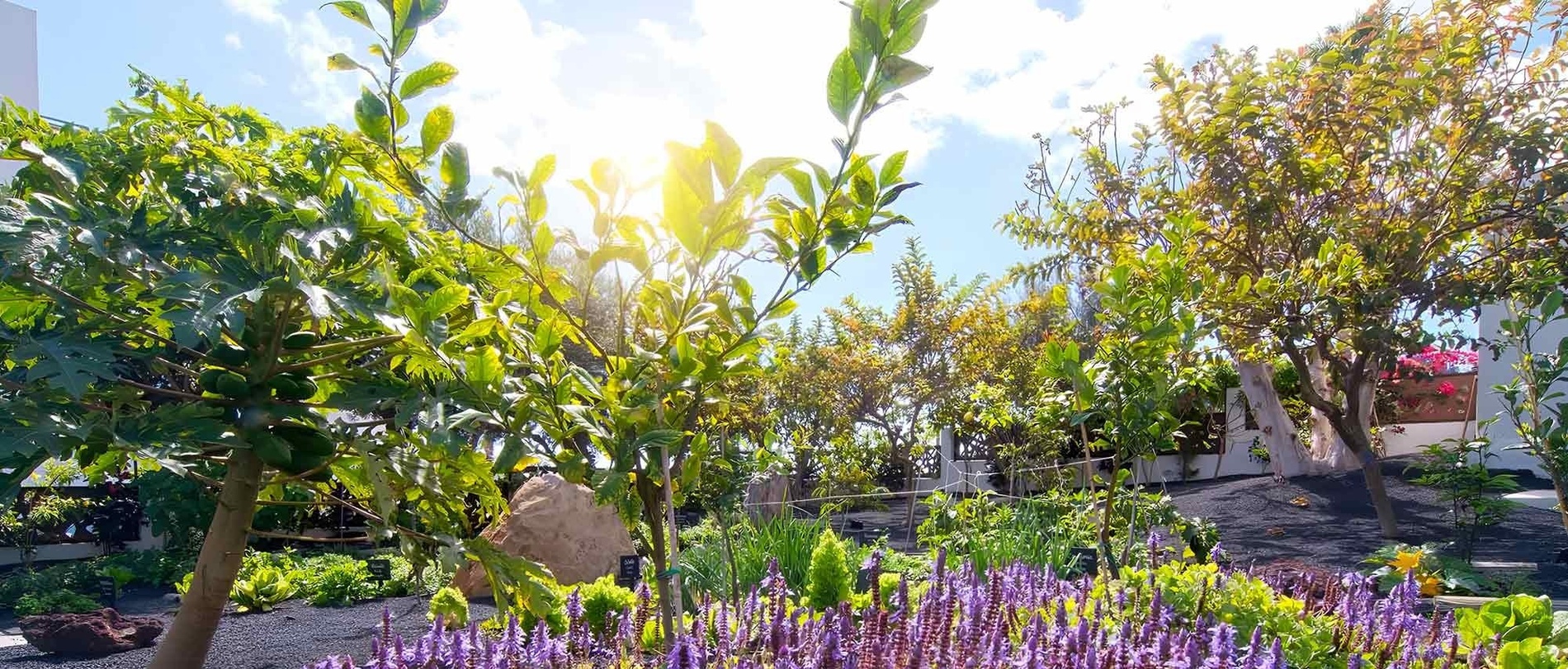 stoły i krzesła ustawione na przyjęcie na świeżym powietrzu