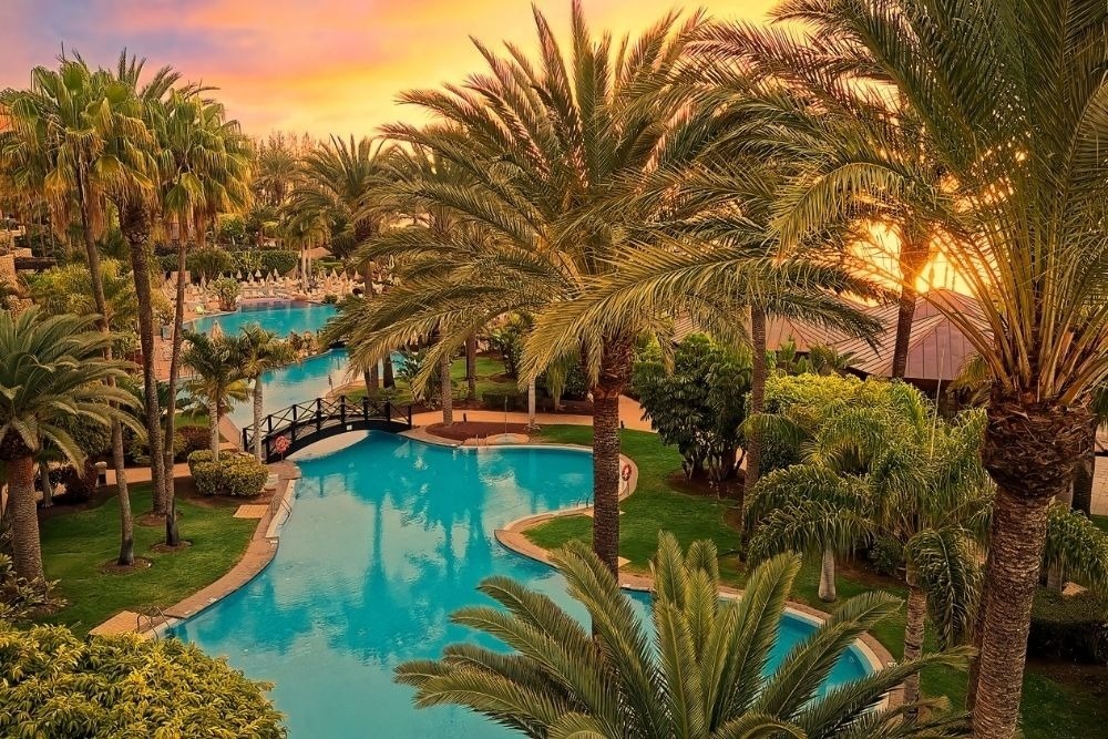 une table avec des assiettes et des couverts et une nappe avec des poissons et des vagues