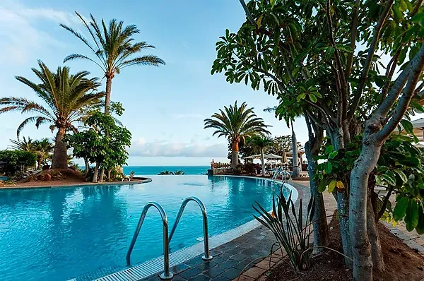 Wooden bridge and pool R2 Hoteles: Corporativa, palm trees, resort.