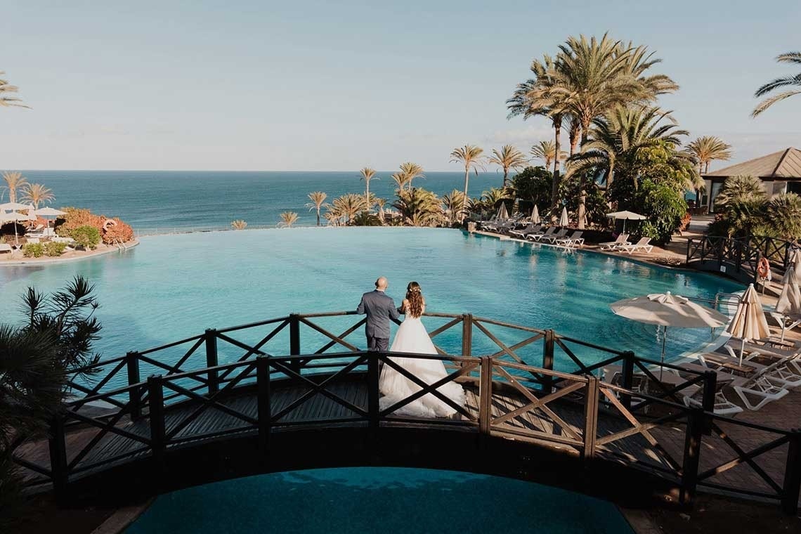a small brown dog on a leash standing in the grass