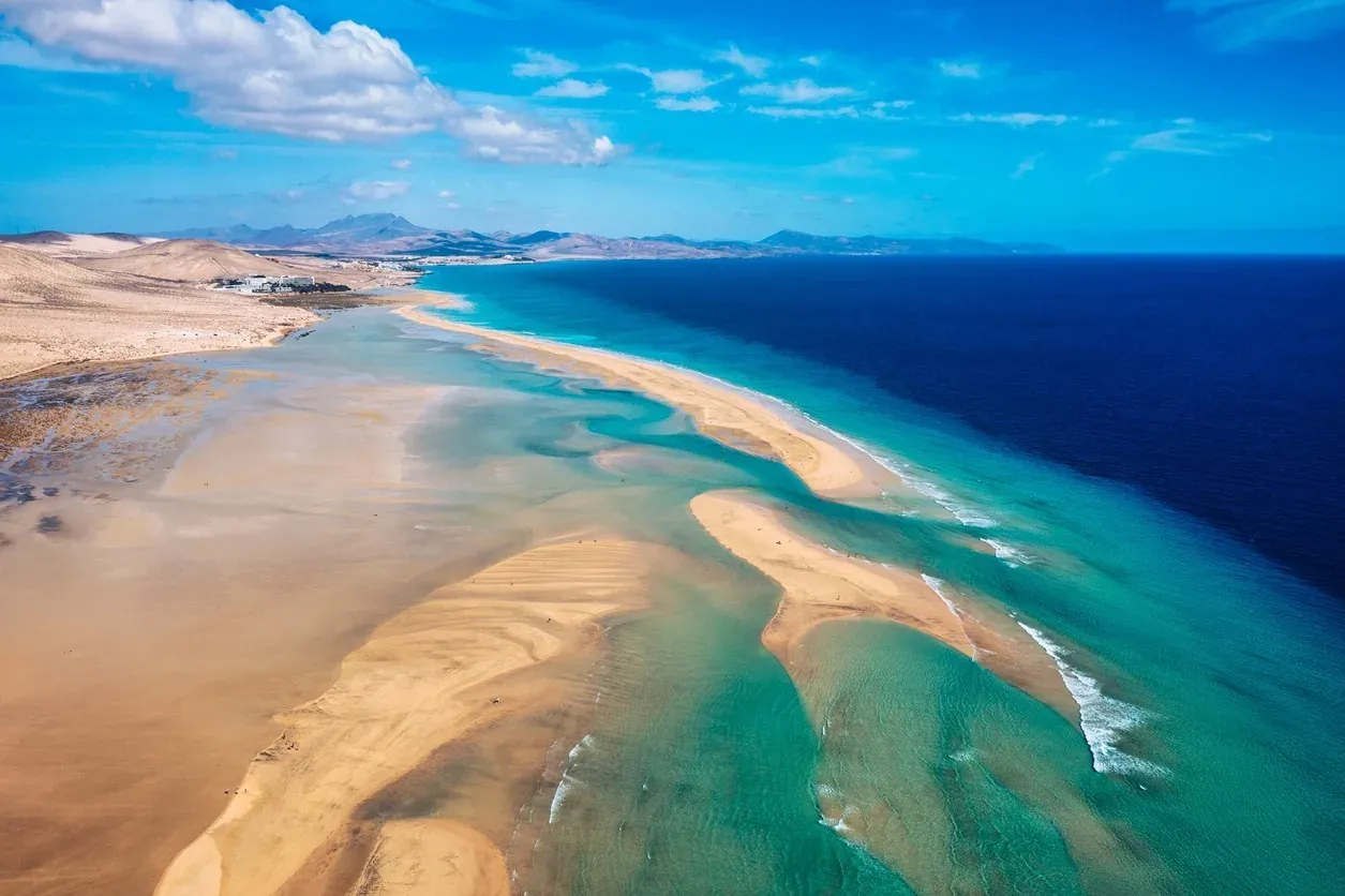 Sotavento and Playa de Muro win the Traveler's Choice Awards