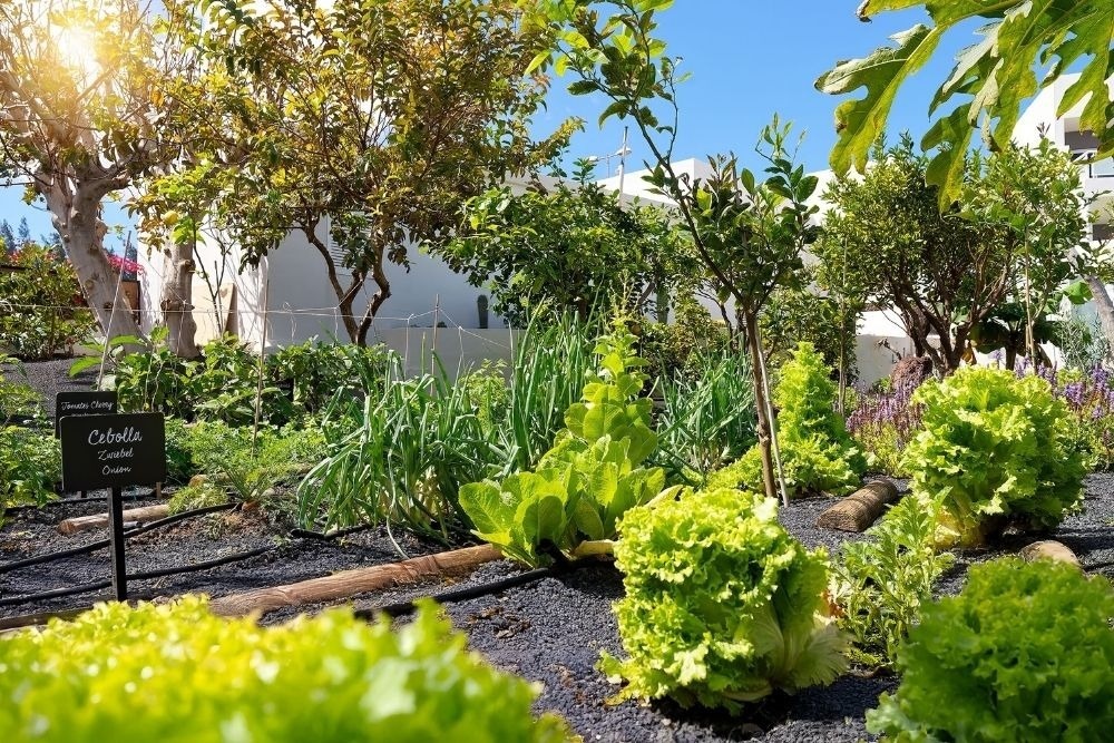 un tavolo con piatti e posate e una tovaglia con pesci e onde