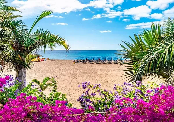 R2 Hotels: Tropischer Strandurlaub mit Blumen und Palmen