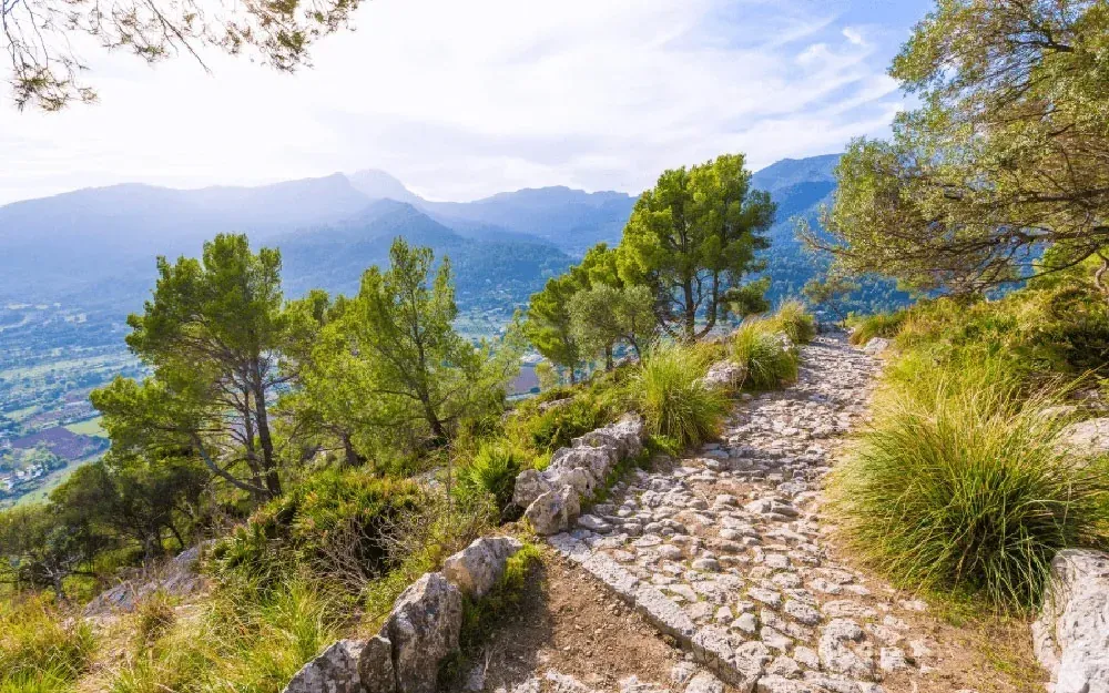 Enjoy hiking in Puig de son Jordi