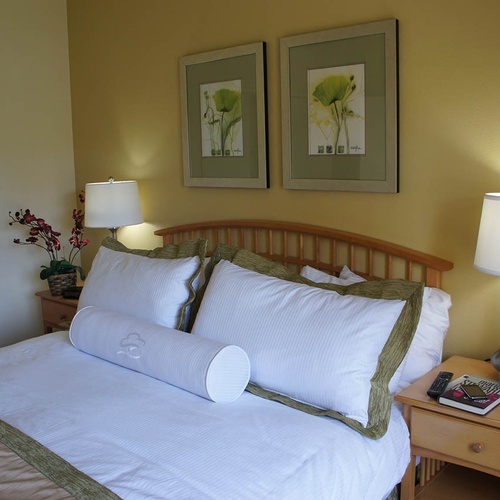 Comfortable hotel room with art, lamp, and bedside table with books. Travel Raintree Corpo.