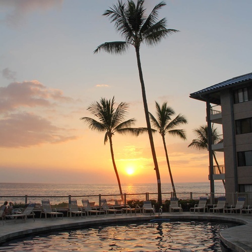 Travel Raintree Corpo: Sunset palm trees by pool and ocean.