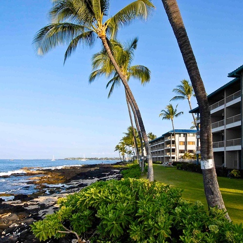 Travel Raintree Corpo: Oceanfront resort with palm trees and beach views.