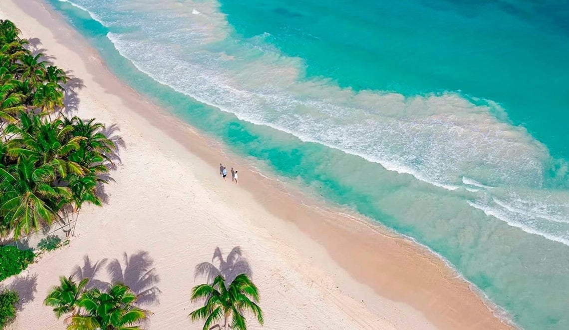 Viaja al paraíso: playa de arena blanca, aguas turquesas y palmeras. Tu Travel Raintree Corpo.=s1900