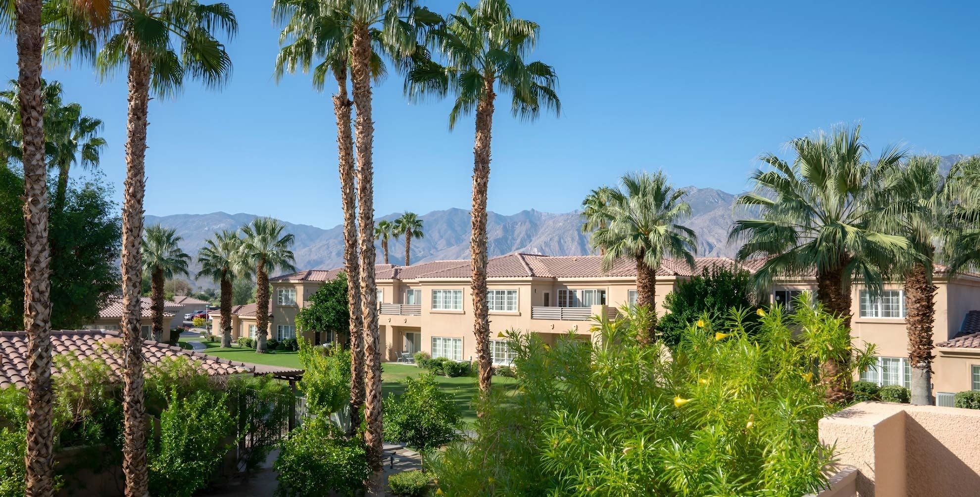 Travel Raintree Corpo: Resort with palm trees and mountain backdrop.