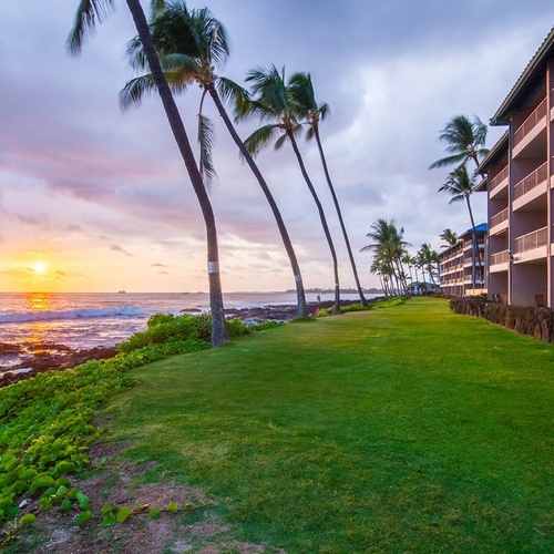 Travel Raintree Corpo: tropical oceanfront hotel at sunset with palm trees.