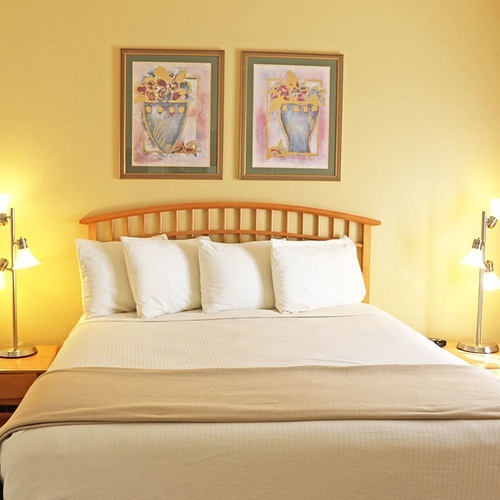 Travel Raintree Corpo hotel room featuring a cozy bed, framed art, and bedside lamps.