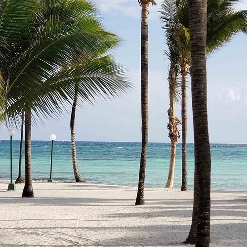 Travel Raintree Corpo beach resort with palm trees and lounge chairs facing the turquoise ocean.