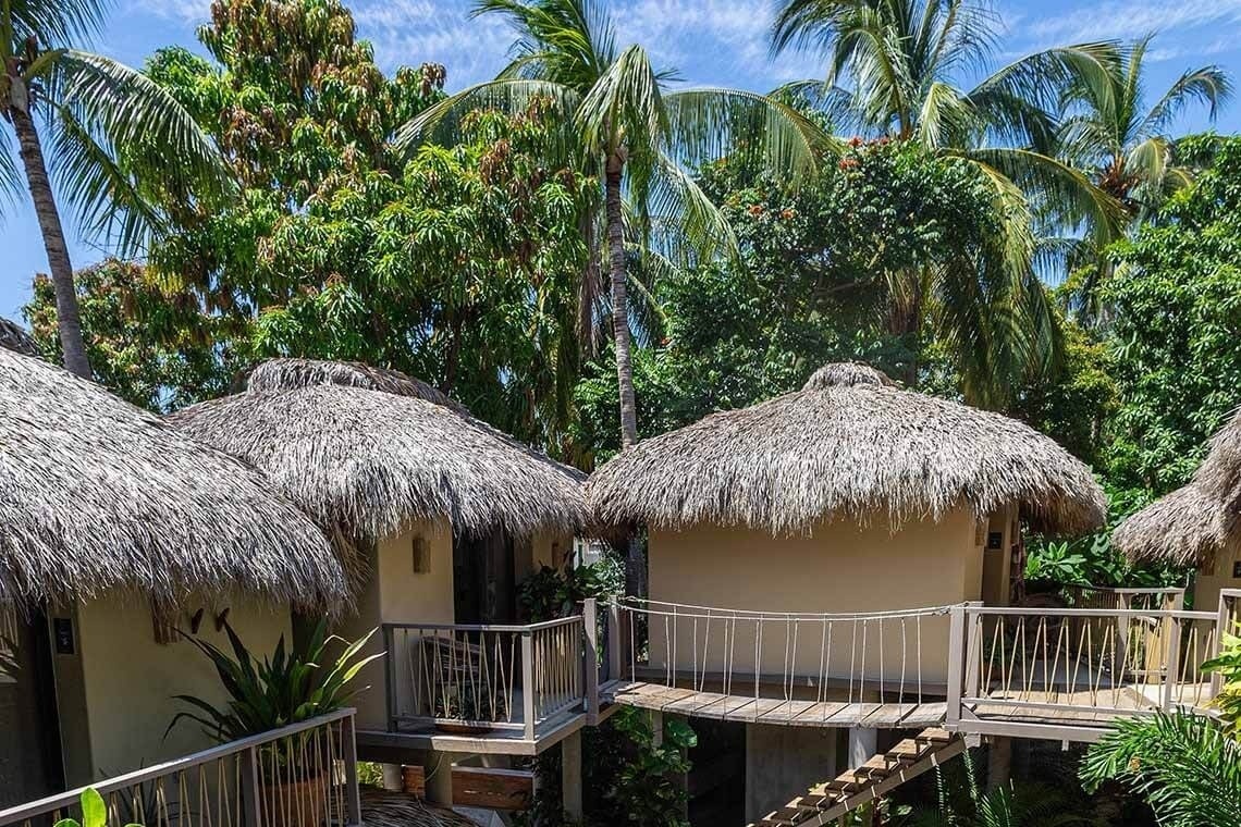 a row of thatched huts are surrounded by palm trees