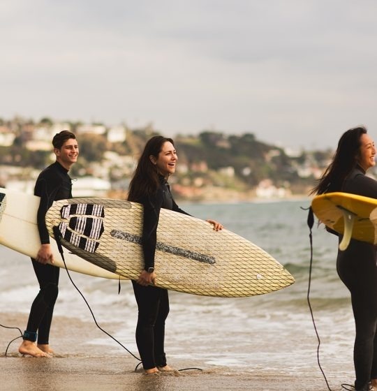 un grupo de surfistas sostiene sus tablas de surf en la playa