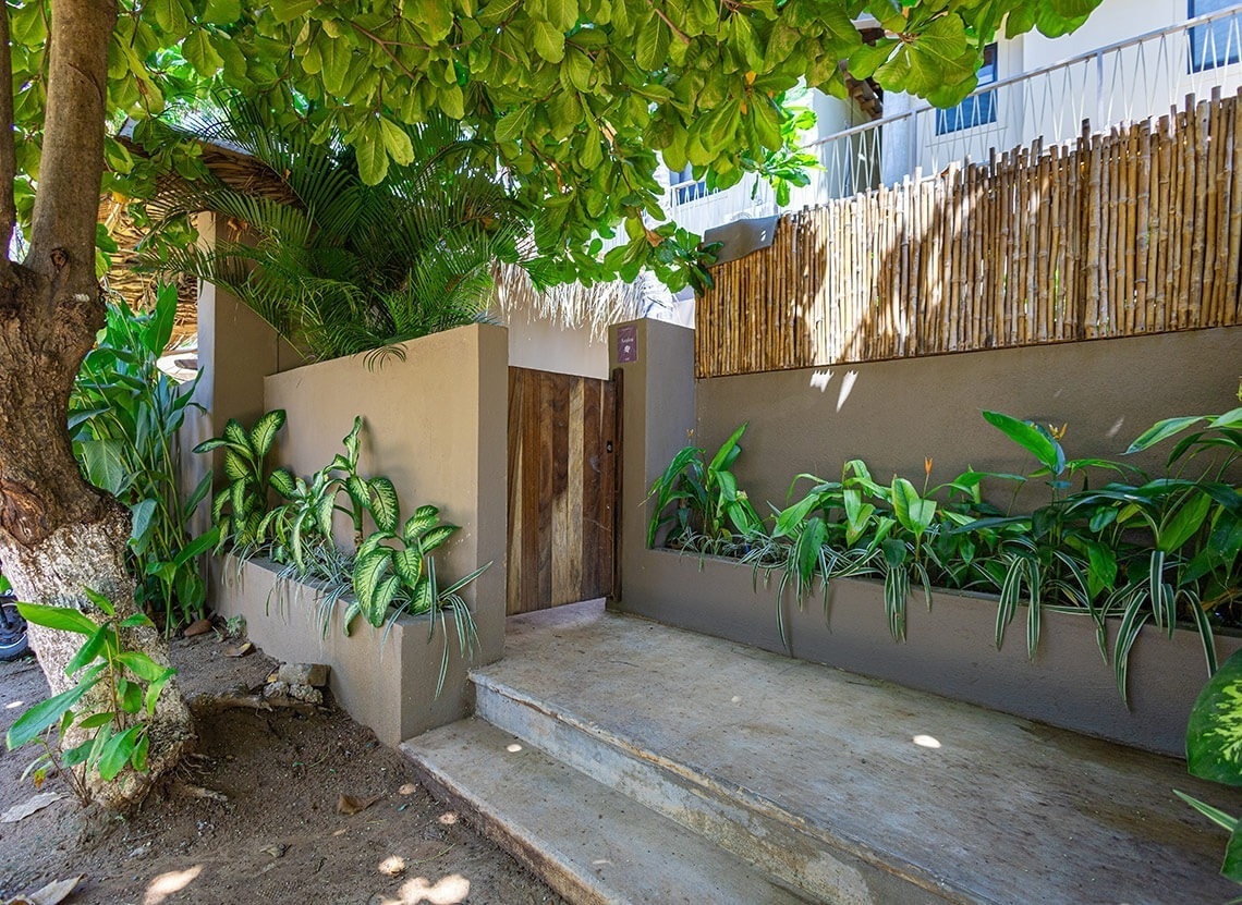 una puerta de madera está rodeada de plantas y un árbol