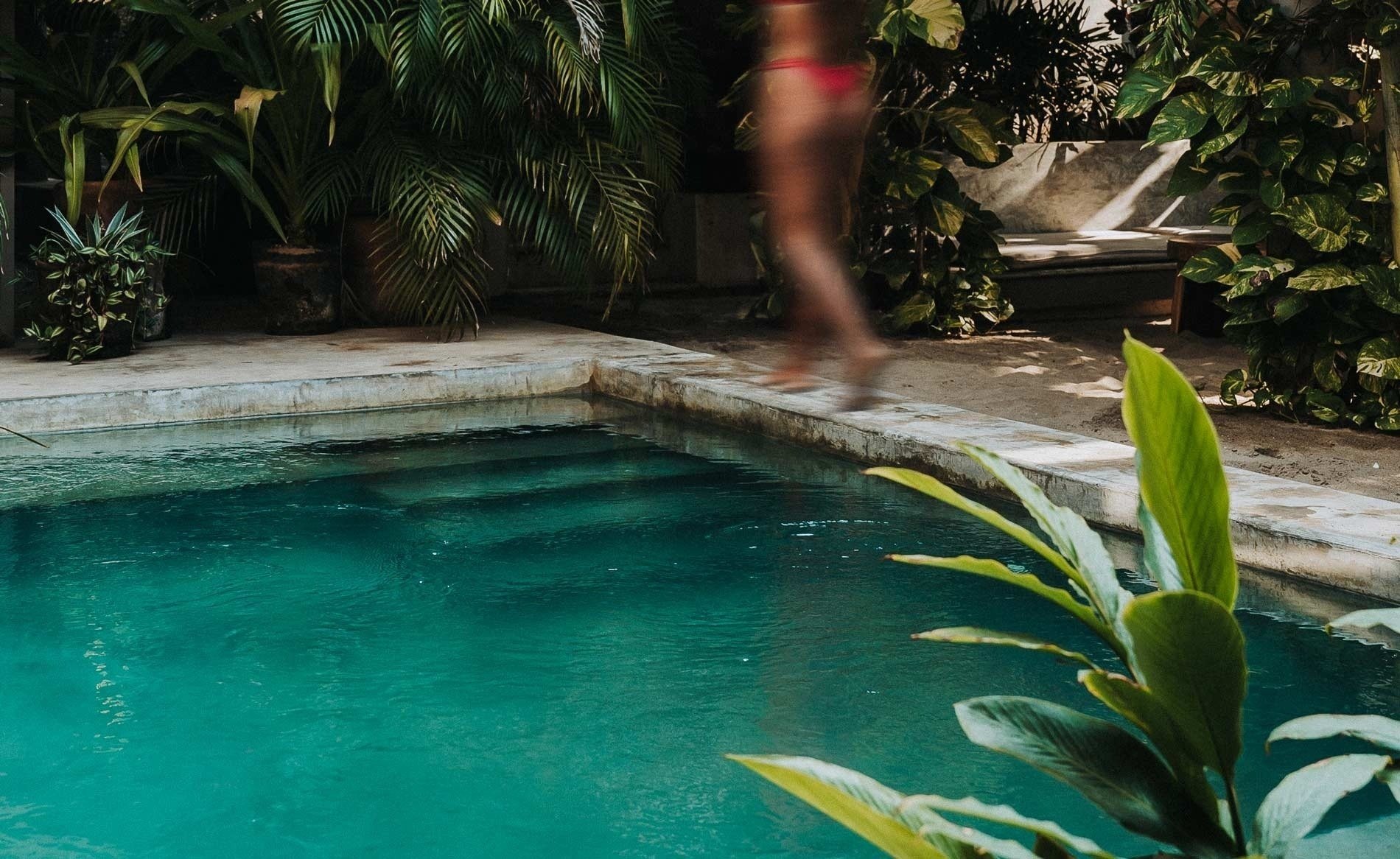 una mujer salta a una piscina rodeada de plantas