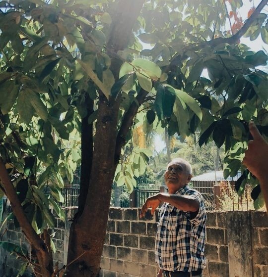 a man in a plaid shirt is pointing at a tree