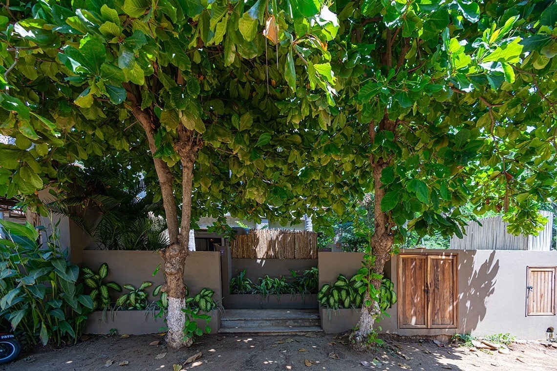 una puerta de madera está rodeada de árboles y plantas