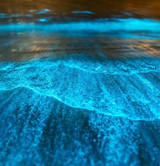 a close up of glow in the dark water on a beach .