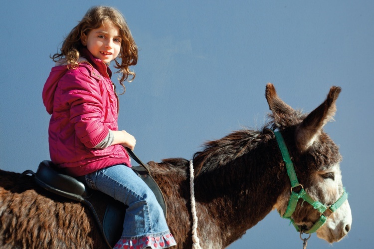 <small>Donkey</small> Ride