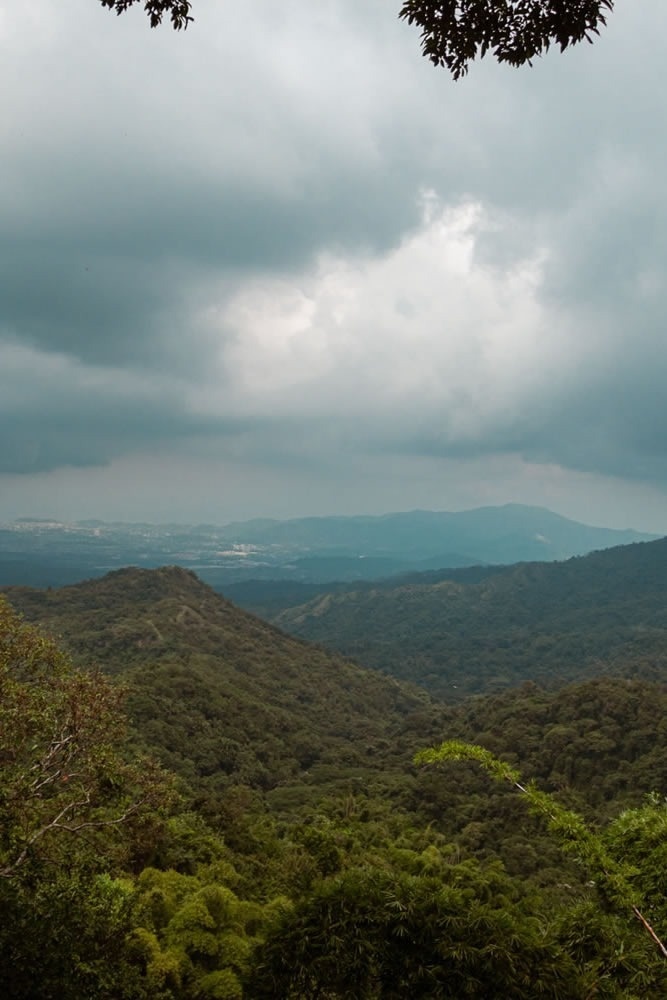 Hotel Ribai Corporativa: vistas de montañas y bosque nublado.