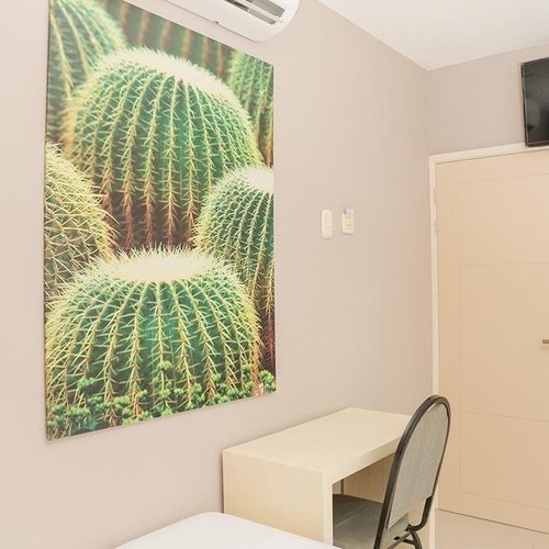Habitación moderna Hotel Ribai Corporativa con arte de cactus y escritorio.