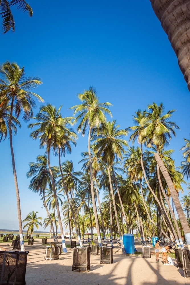 Hotel Ribai Corporativa: Palmeras y playa azul para unas vacaciones inolvidables.
