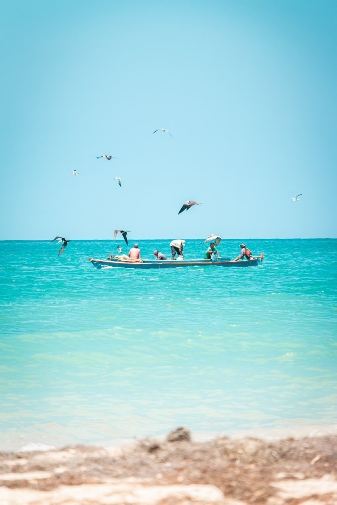 Barco de pesca con aves marinas volando sobre el mar azul turquesa.