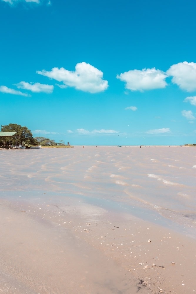 Hotel Ribai Corporativa: Playa serena con palmeras y cielo azul vibrante.