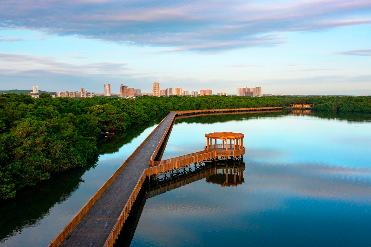 Hotel Ribai Corporativa: muelle y mirador en manglar con vista a edificios.