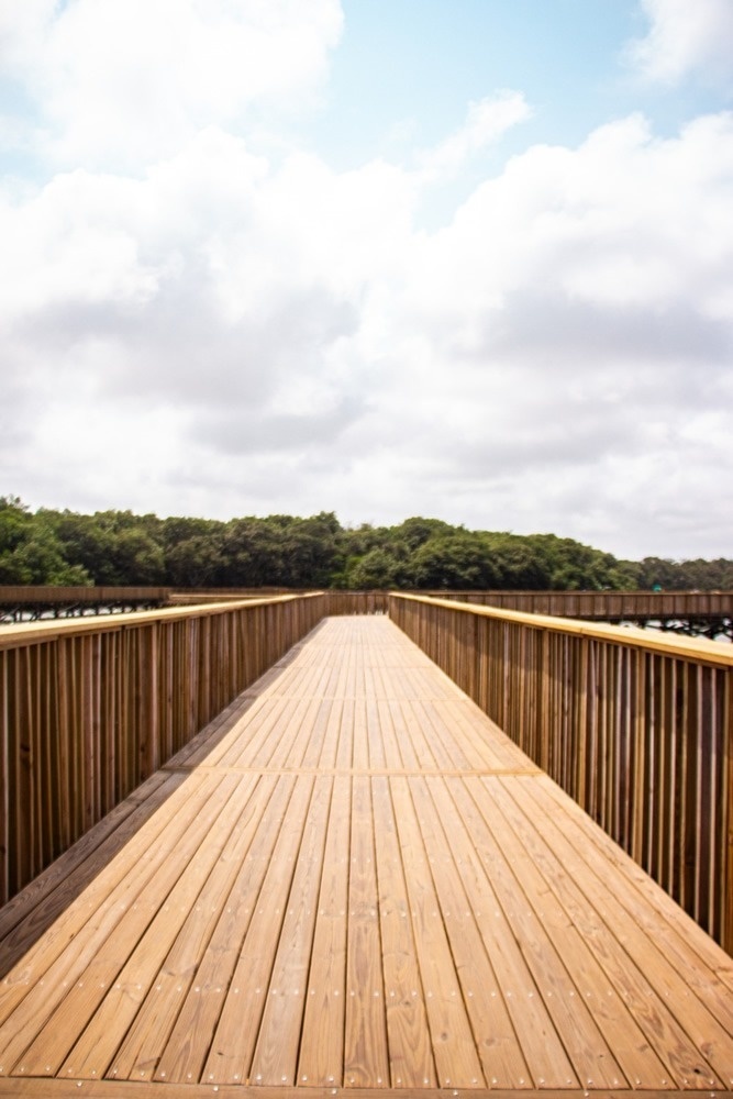 Pasarela de madera hacia un entorno natural, cerca del Hotel Ribai Corporativa.