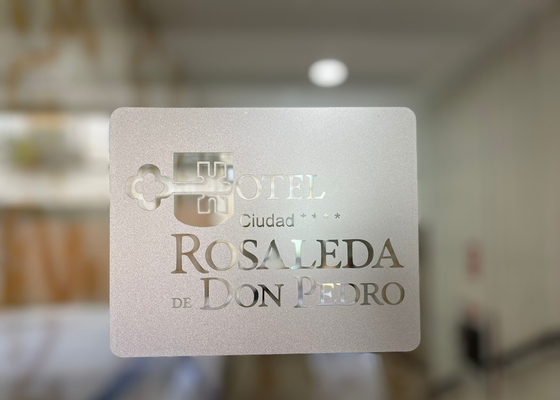 la puerta del hotel rosaleda de don pedro