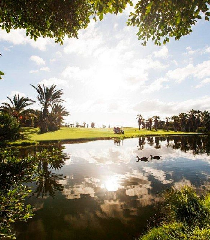 A sun-drenched golf course with palm trees and a distant golf cart overlooks a serene lake reflecting the sky, where two ducks swim, all framed by green foliage.